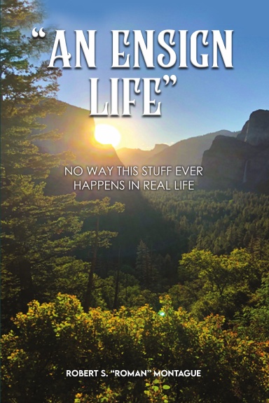 An Ensign Life Paperback